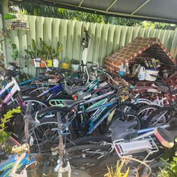 32 Assorted Bikes - 32 Bicicleta Diferentes