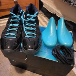 Air Jordan 11 Retros Gammas