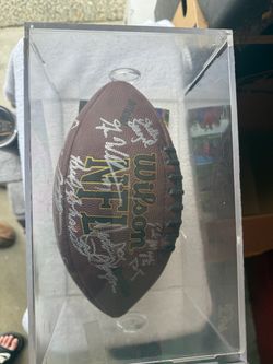 2016 celebrity autographed football