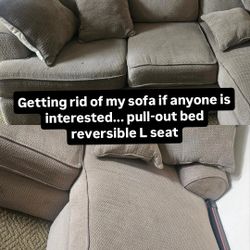 Pull Out BED With Reversible L Seat