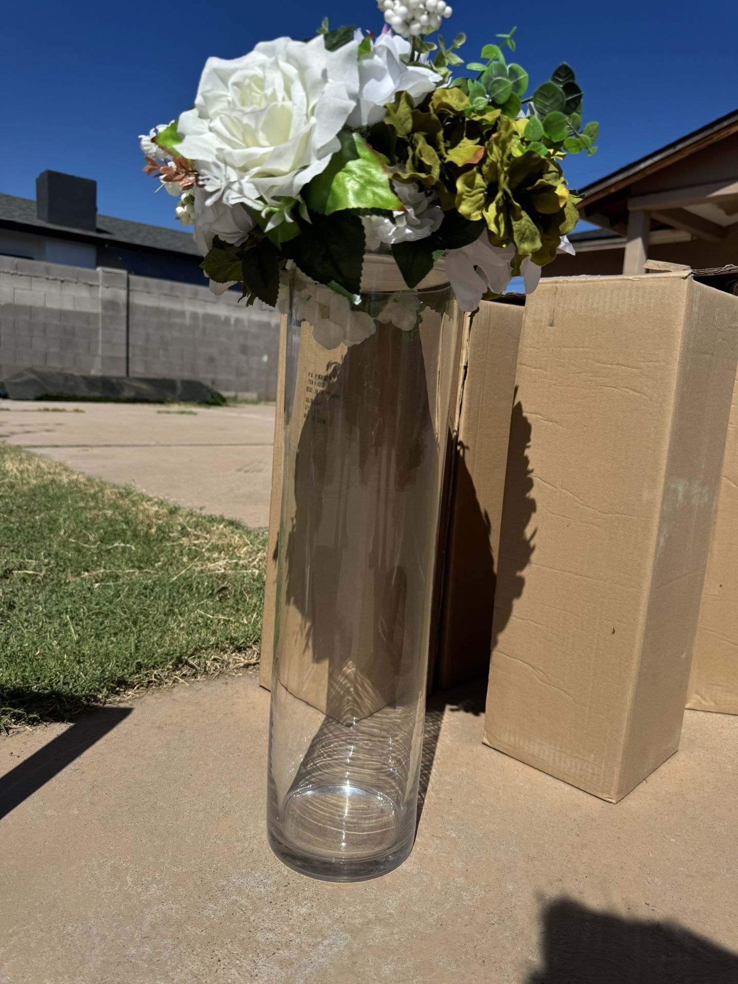 XL Cylinder Glass Vases