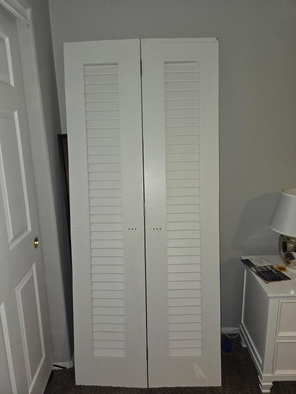 Lightly Used Shutter Solid Core Door
