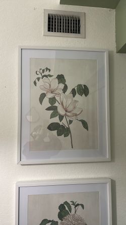 Flower Frames