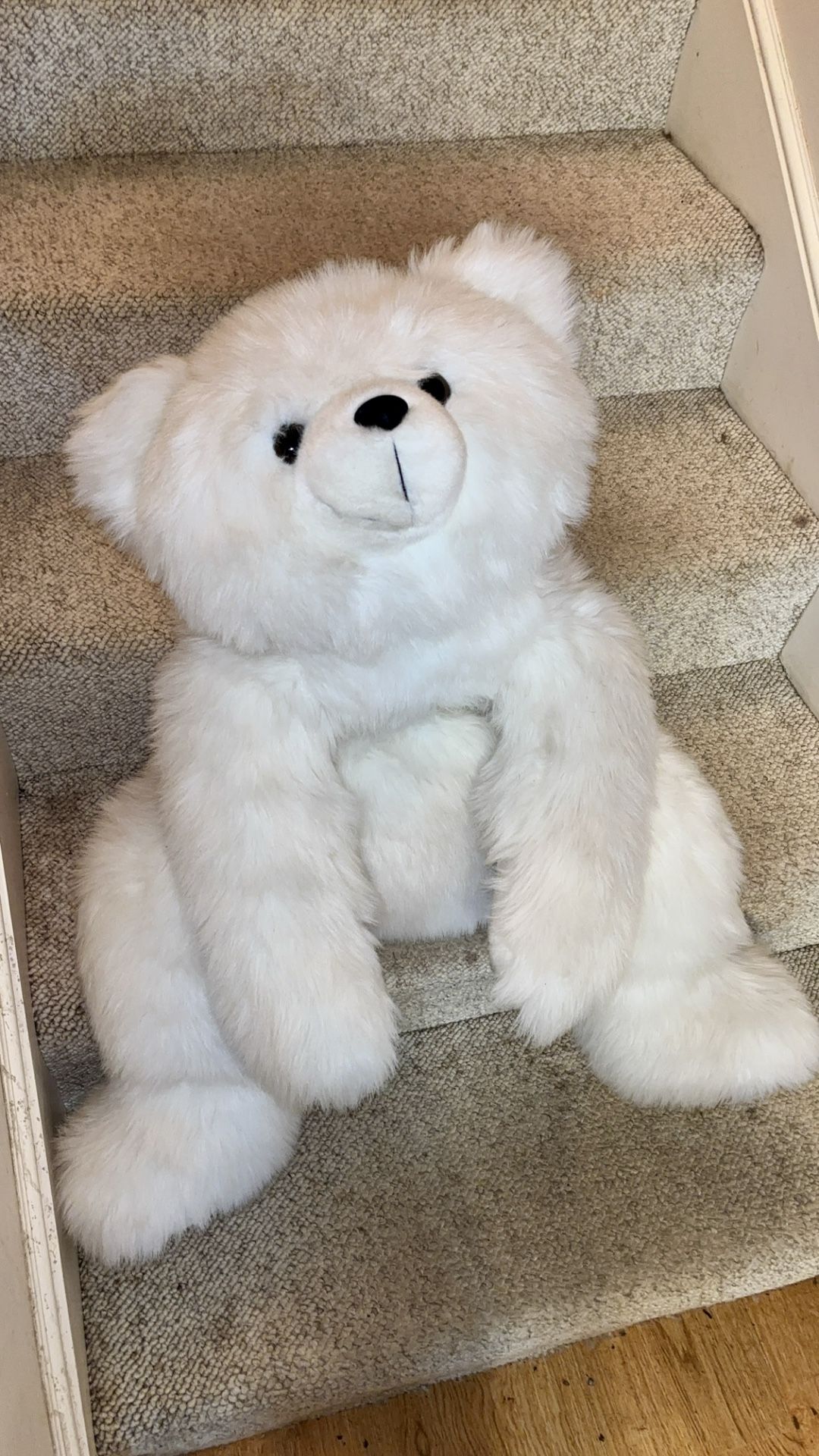 Big Polar Bear