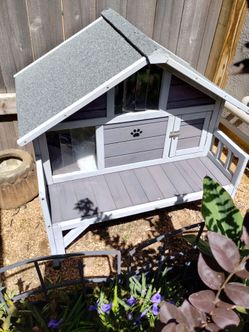 Wooden outdoor cat house