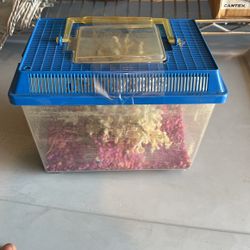 Aquarium for small Fish with Coral