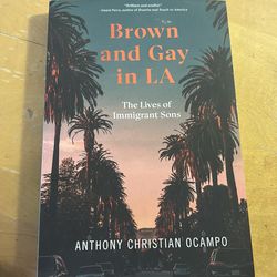 Brown and Gay in LA