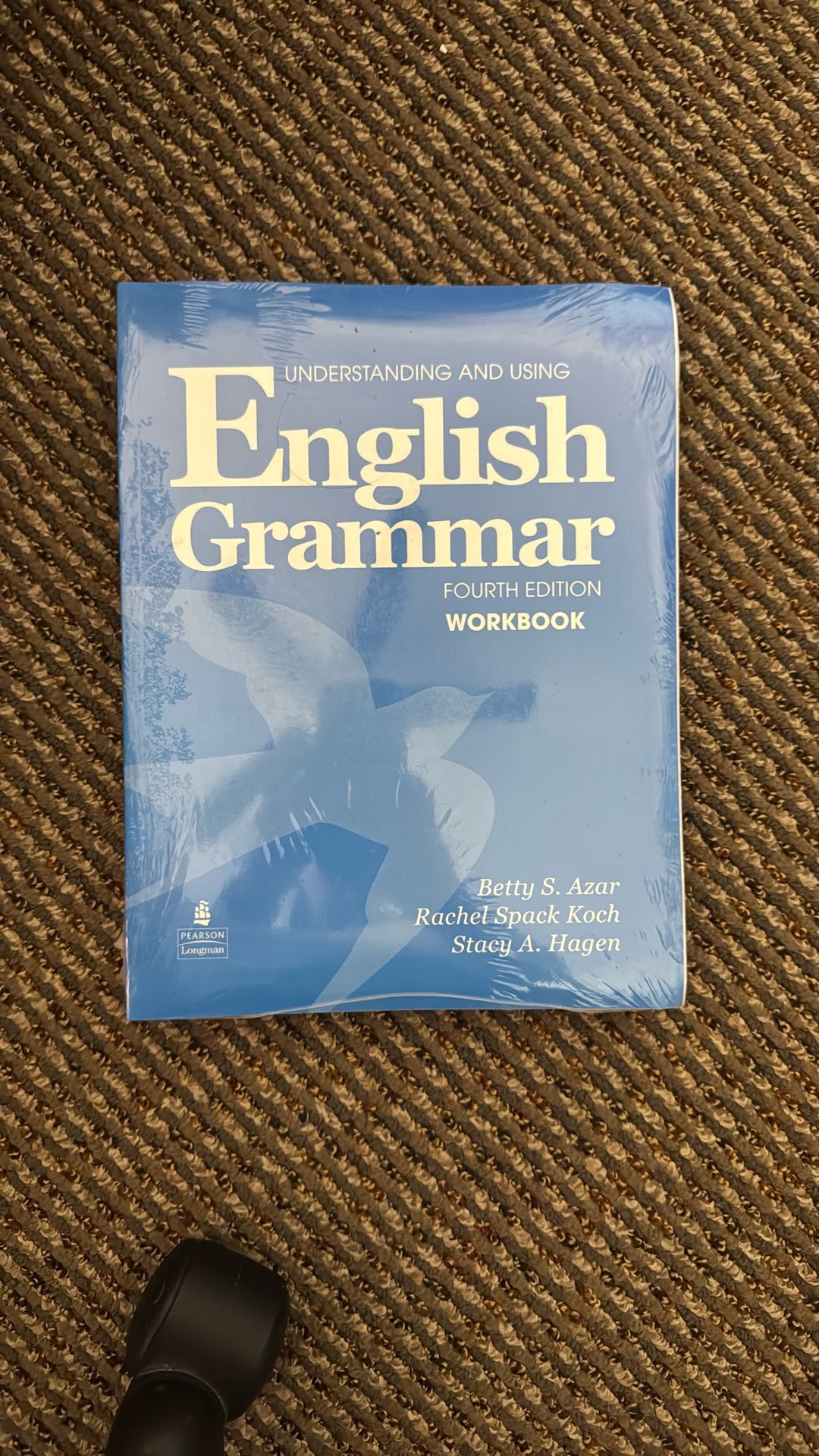 Understanding and Using English Grammar