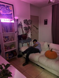 Beige Sofa