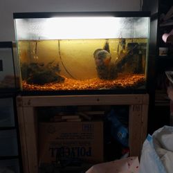 Fish Tank And Equipment With Stand