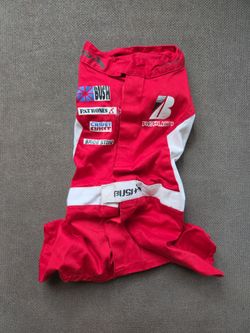 Dog racecar outfit