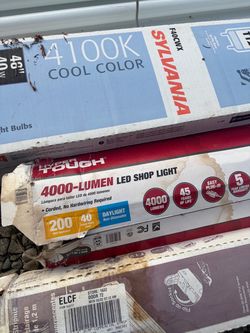 Shop light and bulbs