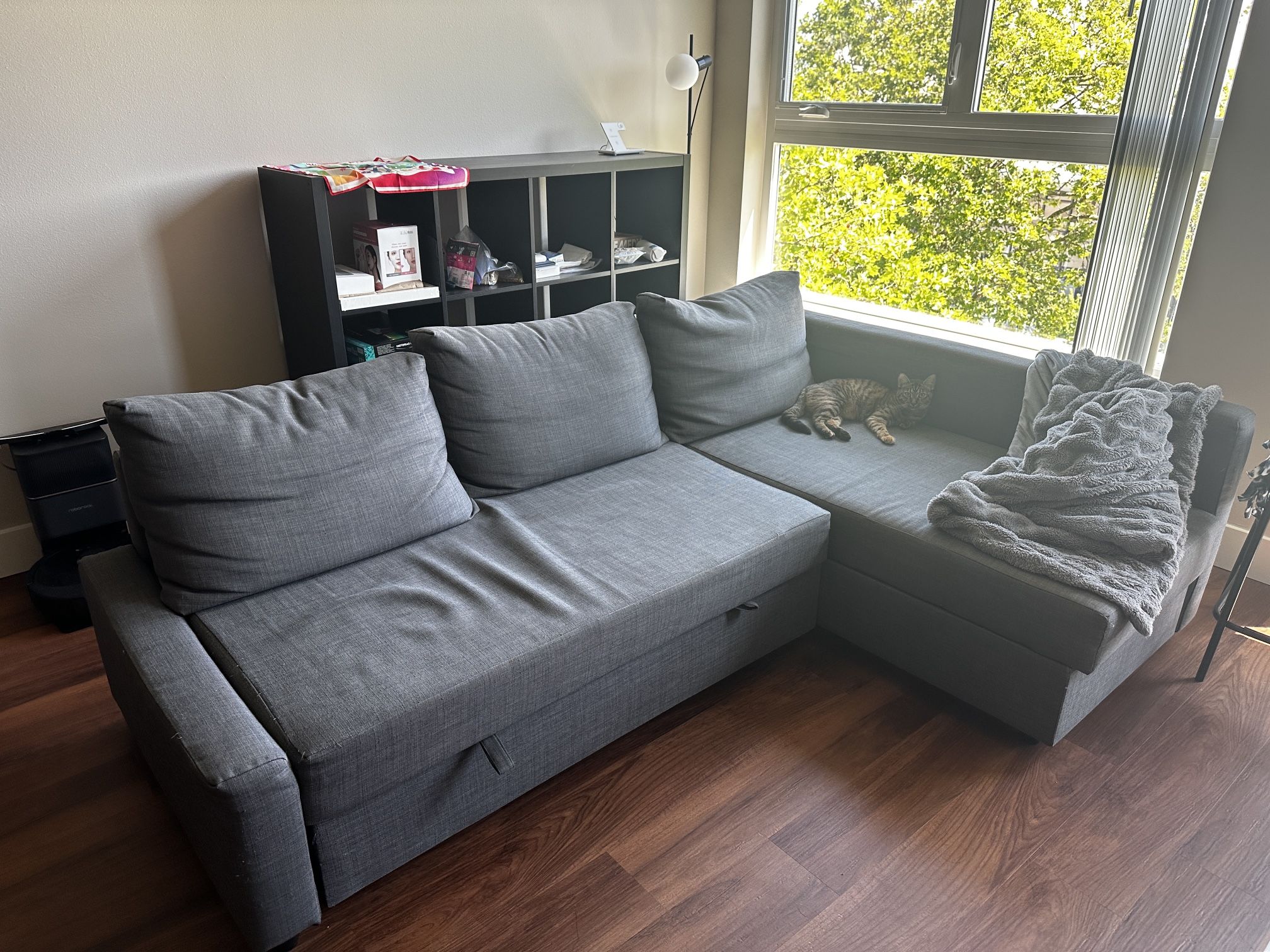 IKEA Sleeper Sofa