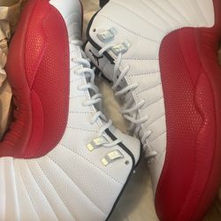 Jordan Cherry 12s Sz 10