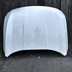 Honda Accord Hood 