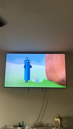 75in Roku TV