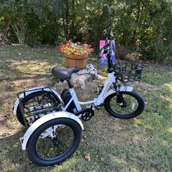 Moon oil E-Trike