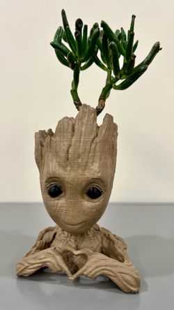 Groot jade plant