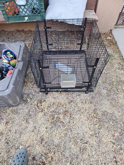Bunny Or Rabbit Cage