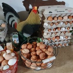 Farm Fresh Eggs/ Huevo Fresco