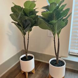 Faux Plant With Pot Set Of 2 