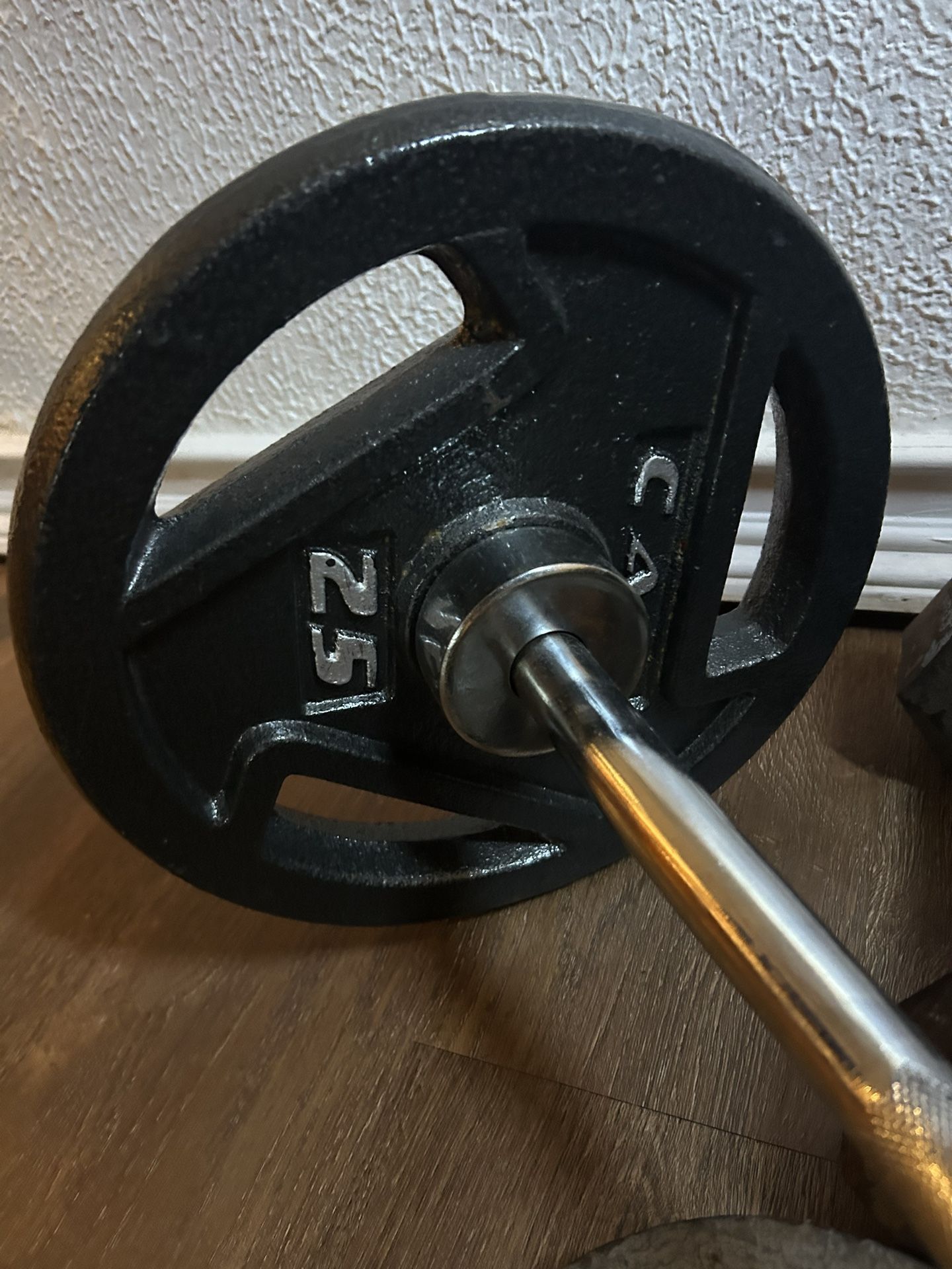 25 LB Barbell Plates
