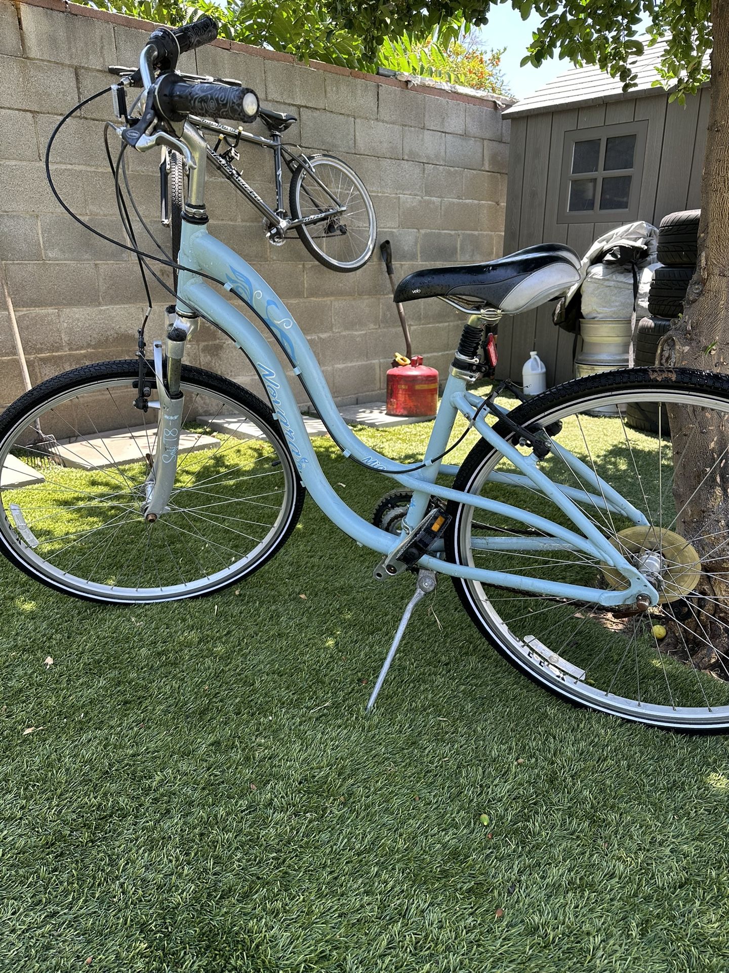 26” Beach Cruiser
