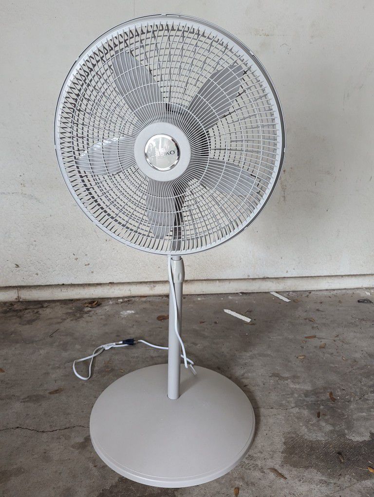 Large Fan 