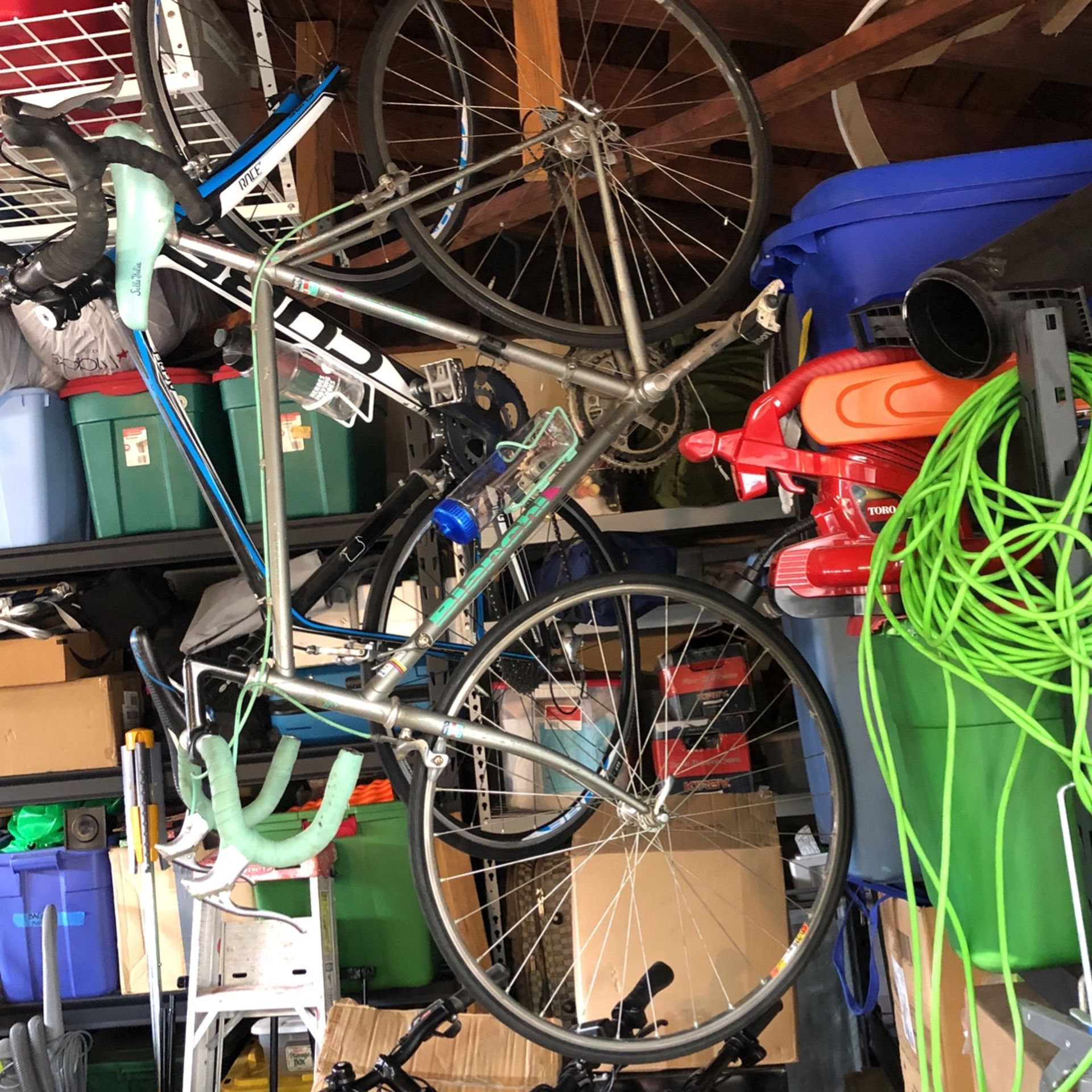 Bianchi Limited
