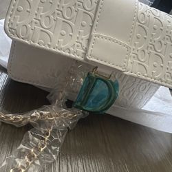 Dior Bag 