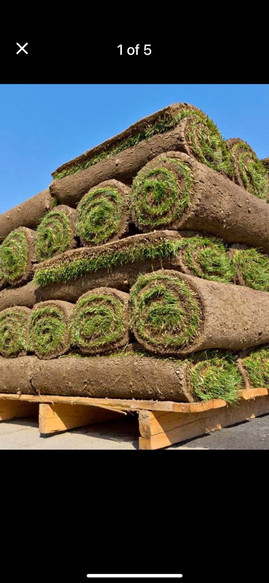 Fresh Sod