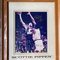 Scottie Pippen 8x10 Photo Autograph 