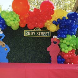 Balloon Garland And Backdrop With Set Up 