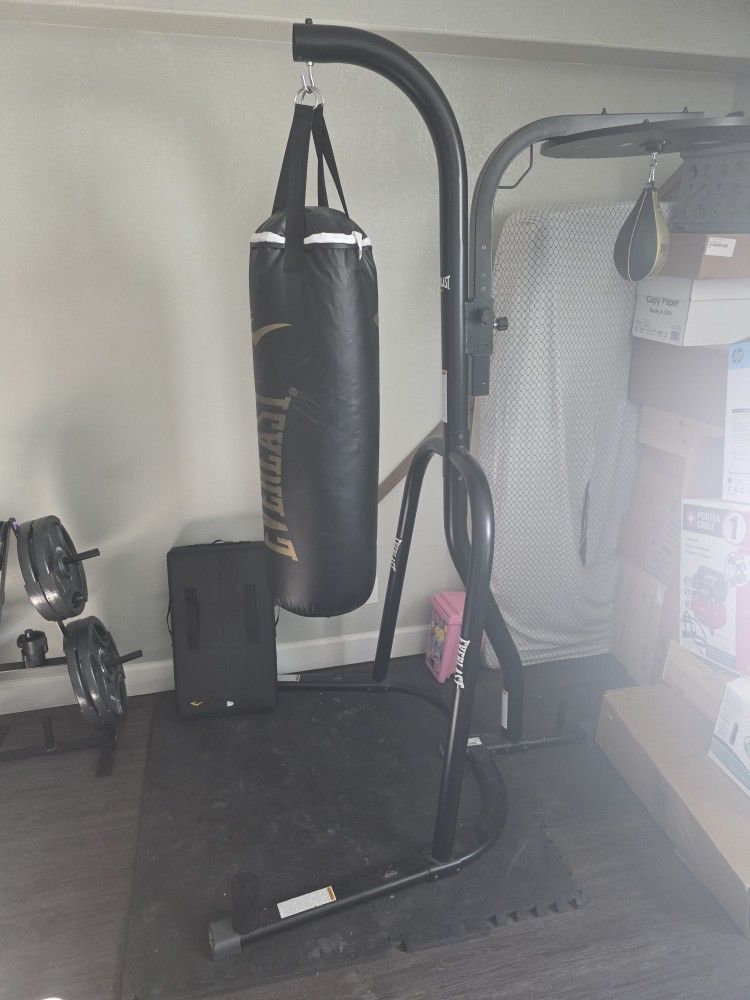 Everlast Punching Bag