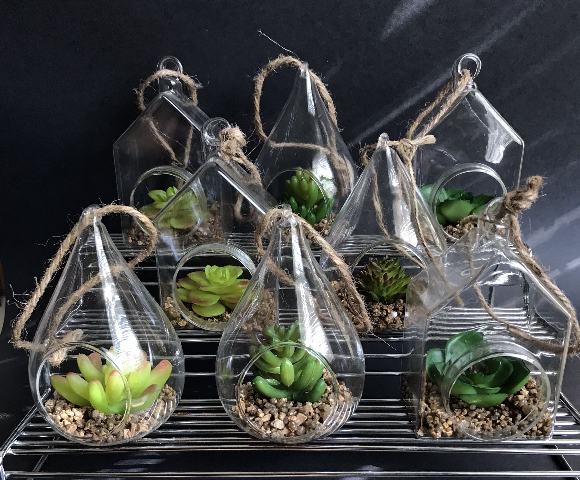 Hanging Glass Globes Terrarium with artificial succulent Lot of 8