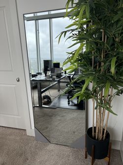 Sophia Rae By JTRose 30x70 Mirror