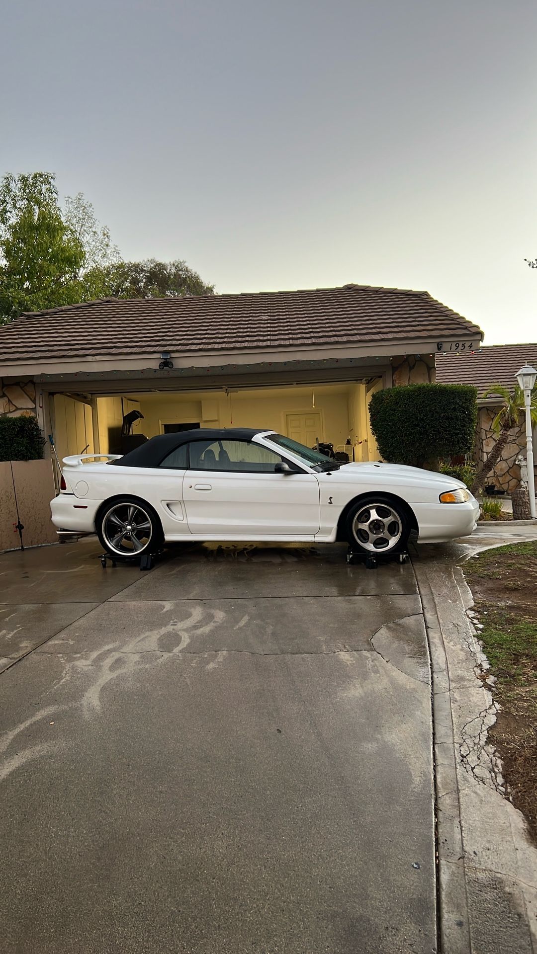 Svt Cobra