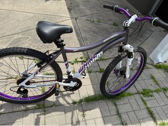 Genesis Whirlwind Bike