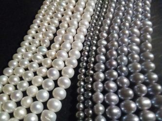 Fresh Water Pearl Strands
