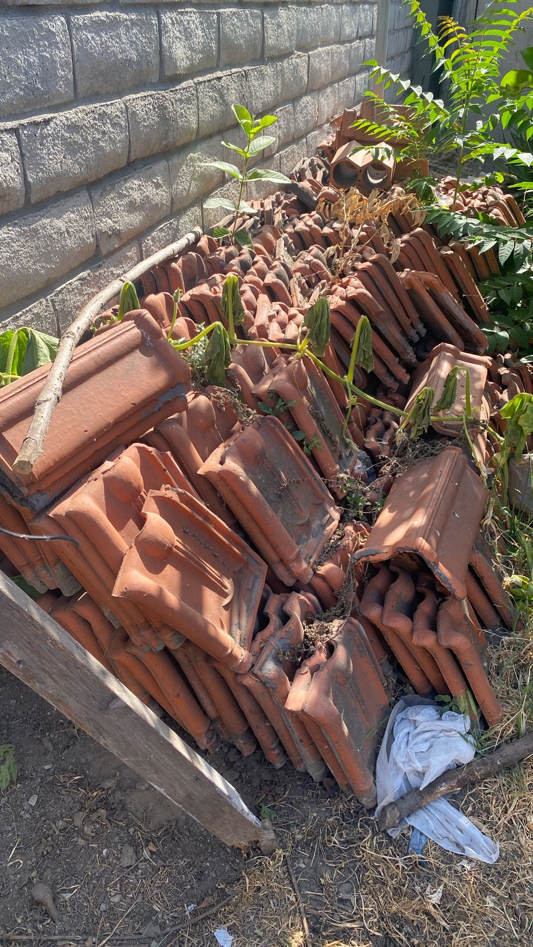 Vintage Roof Tile