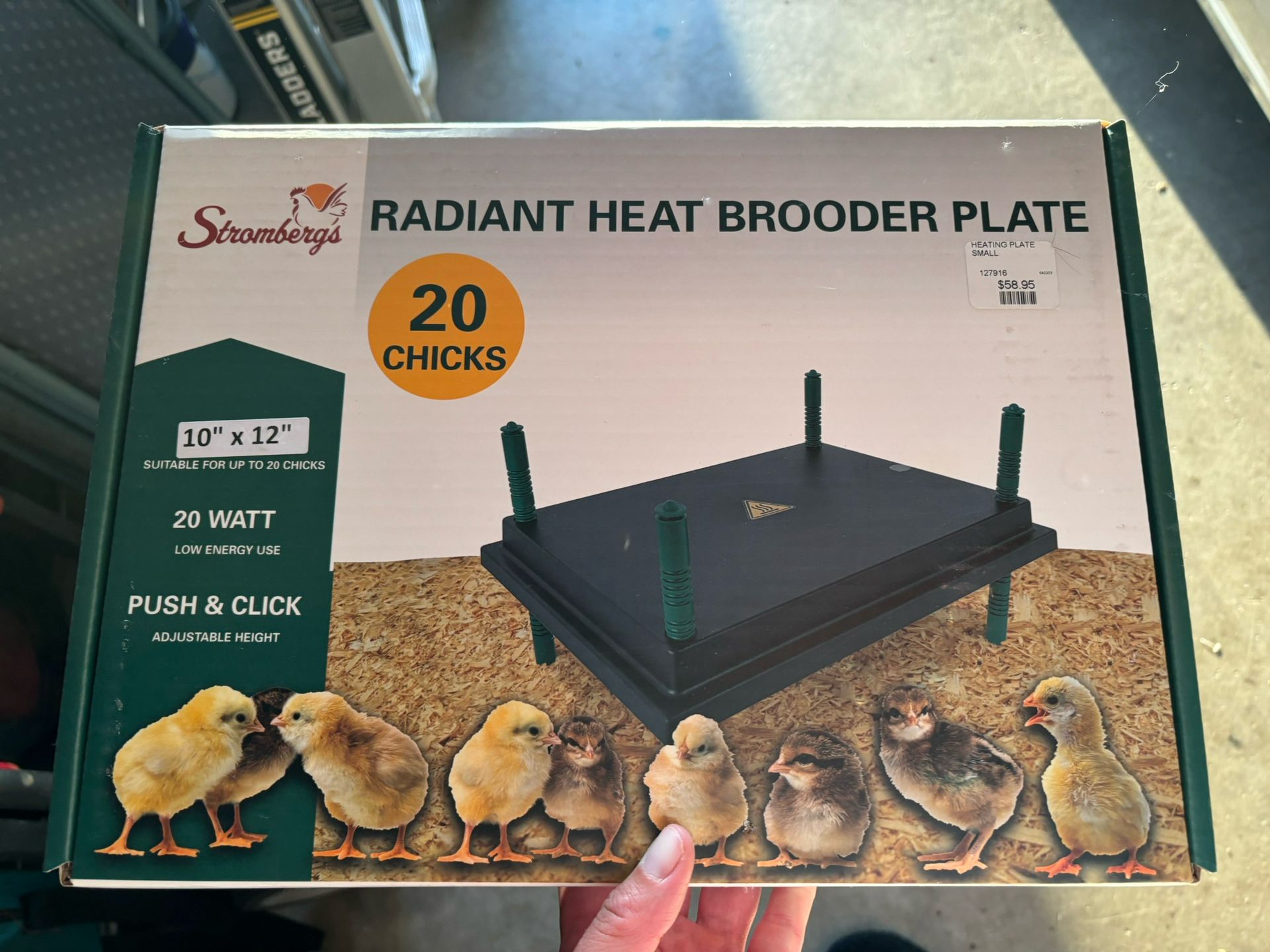 Chicken heating plate