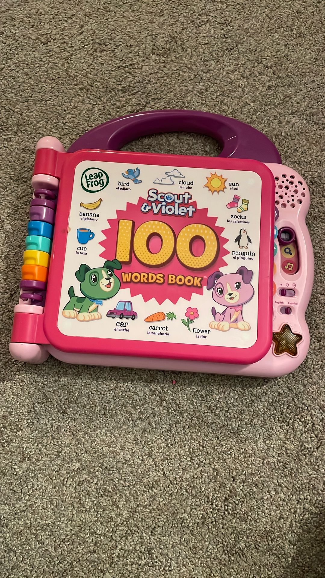 Leap frog 100 Words Book