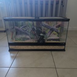 Reptile Tank
