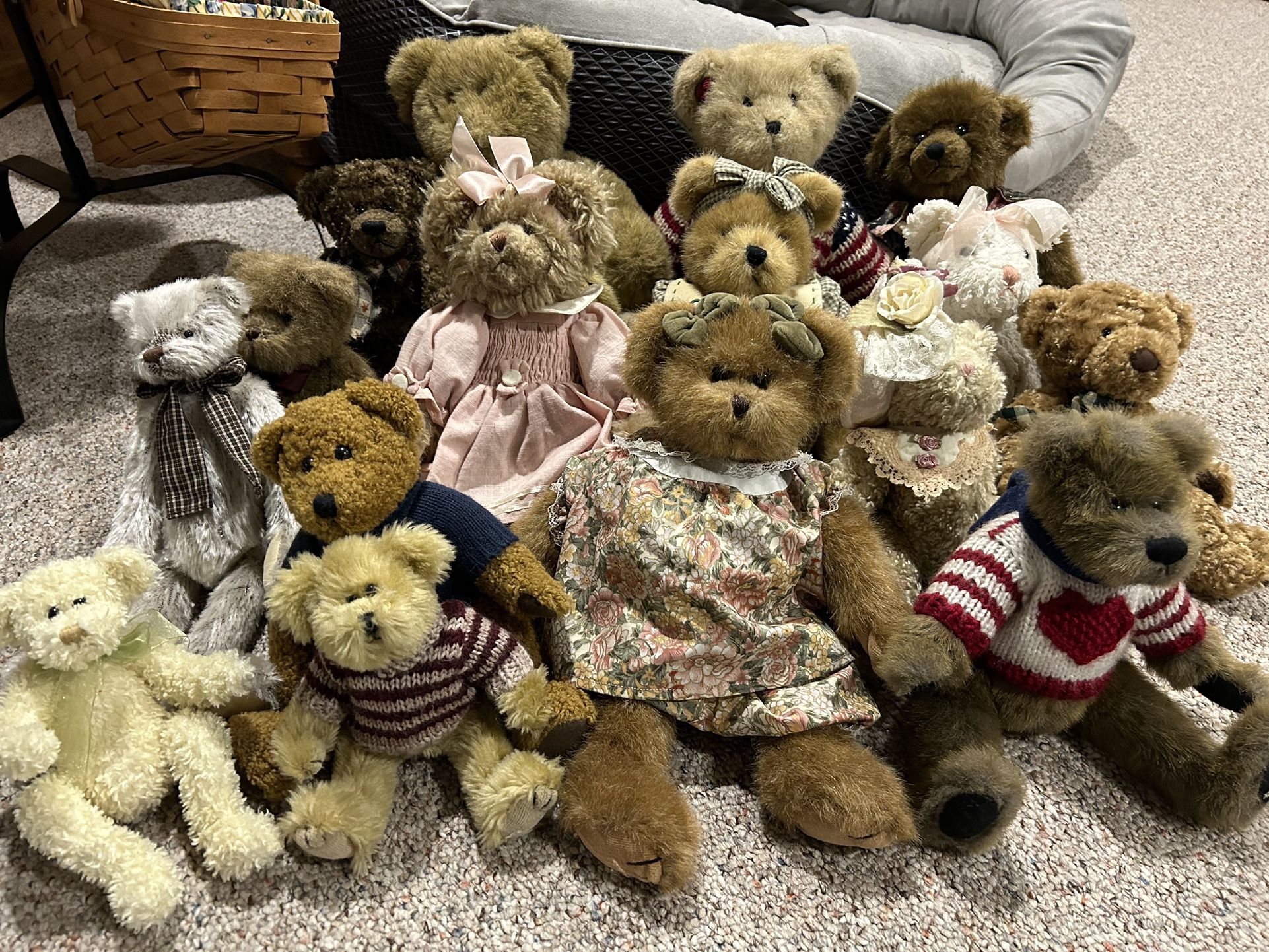 Group of Bears