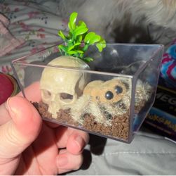 Zuru My Mini Pets (trade)