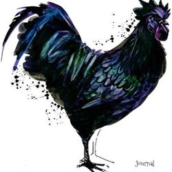 Ayam Cemani Fertilized Eggs 