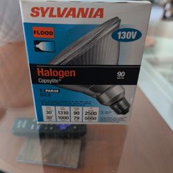 Sylvania Flood lights