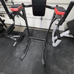 Gym Dip Machine 