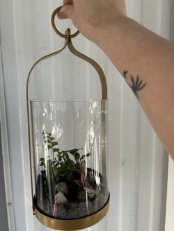 Terrarium 