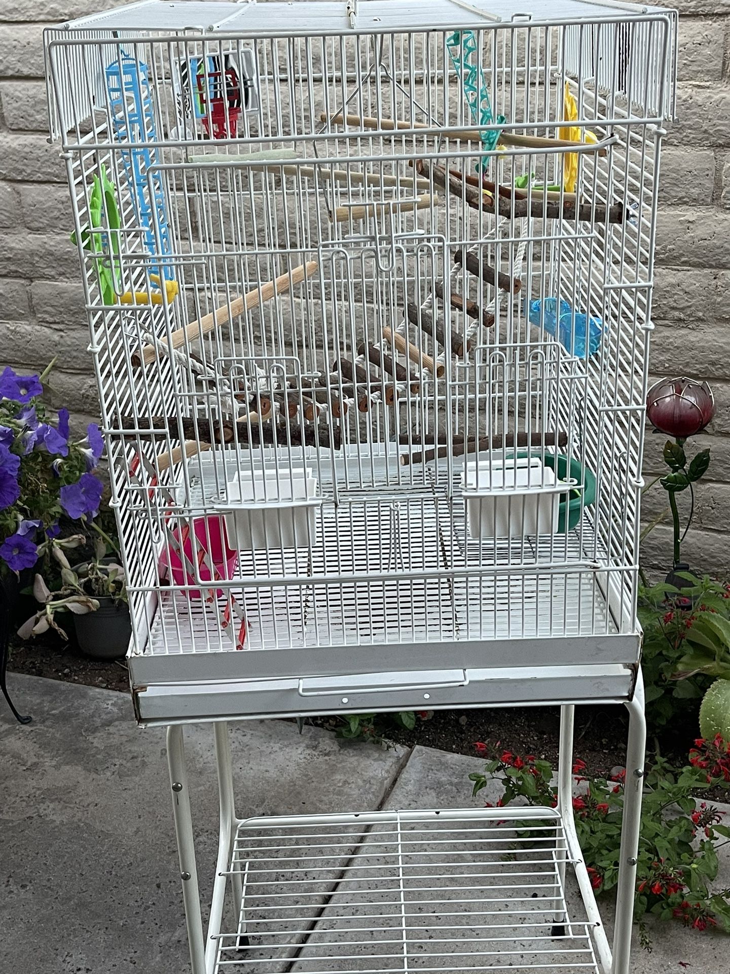 Bird Cage